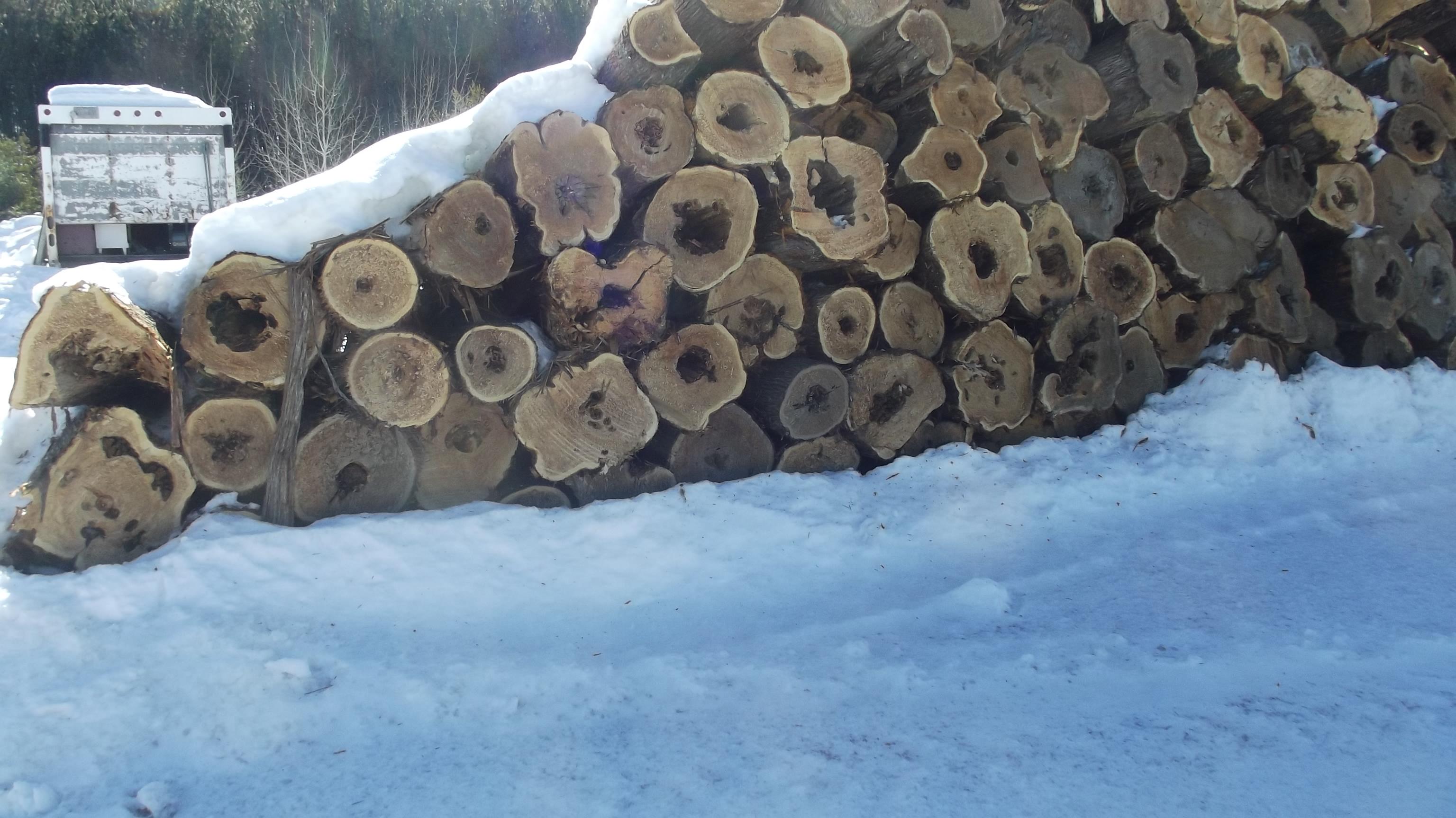 cedar shingle wood butts