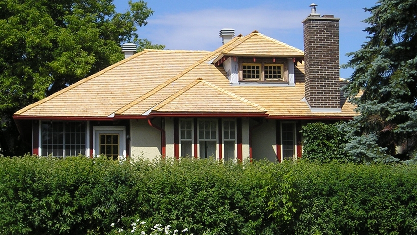 cedar roofing shingles