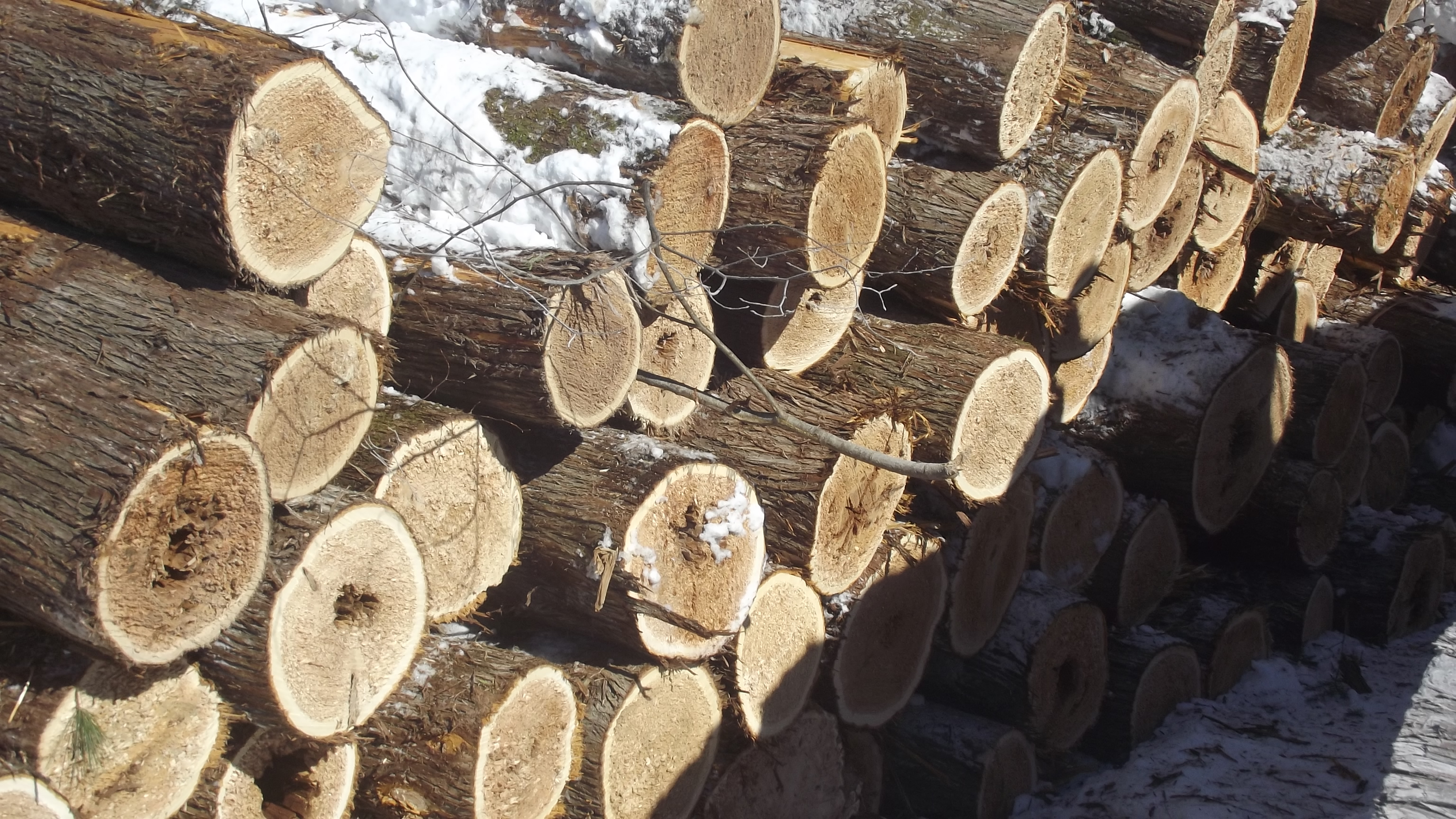 cedar shingle wood tops