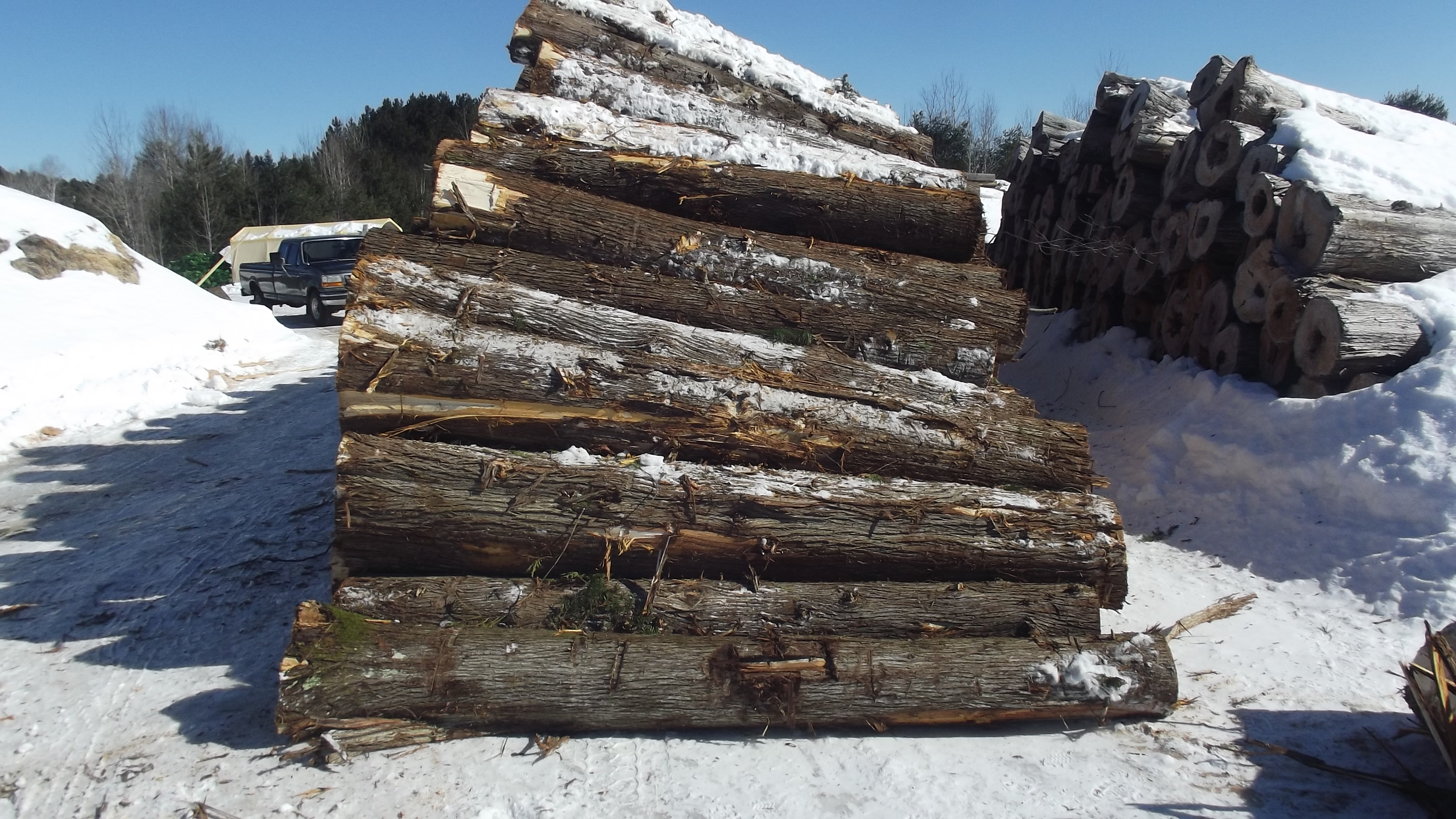 cedar shingle wood